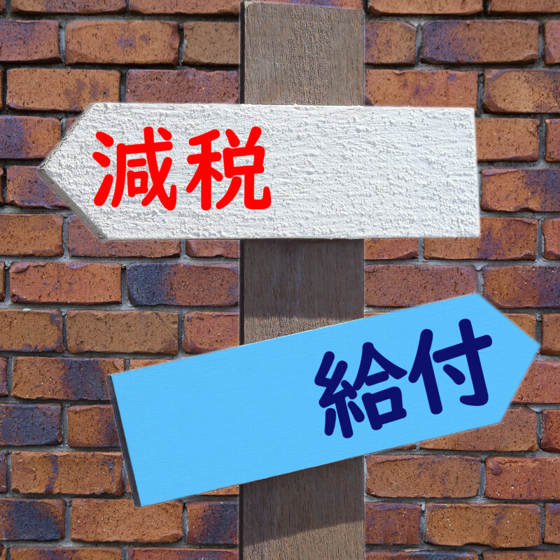【選挙と婚活】納得の共通点と活用法のイメージ