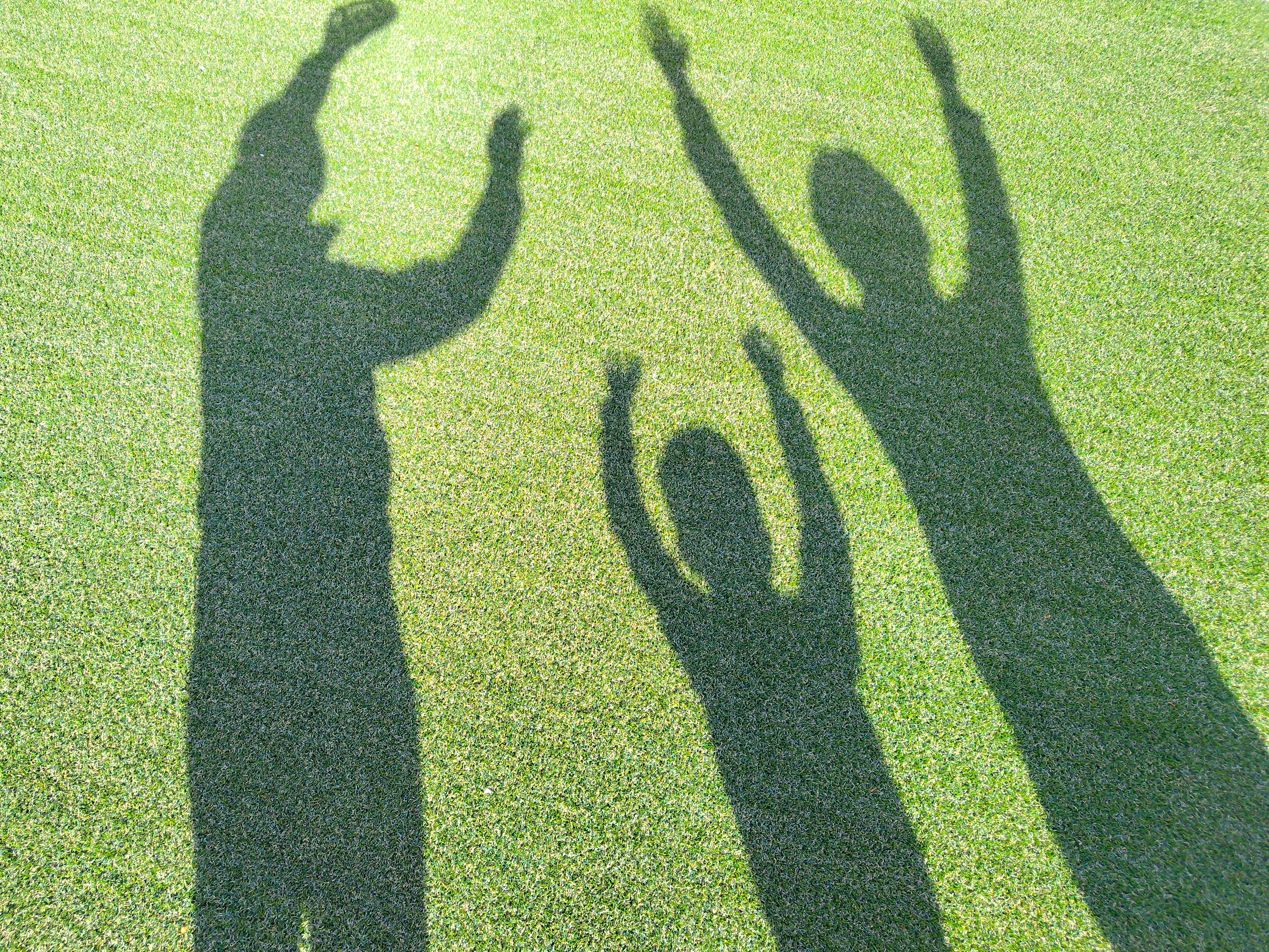 共同親権単独親権